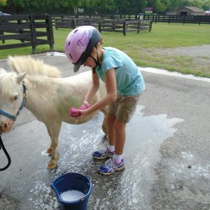 horse-bath